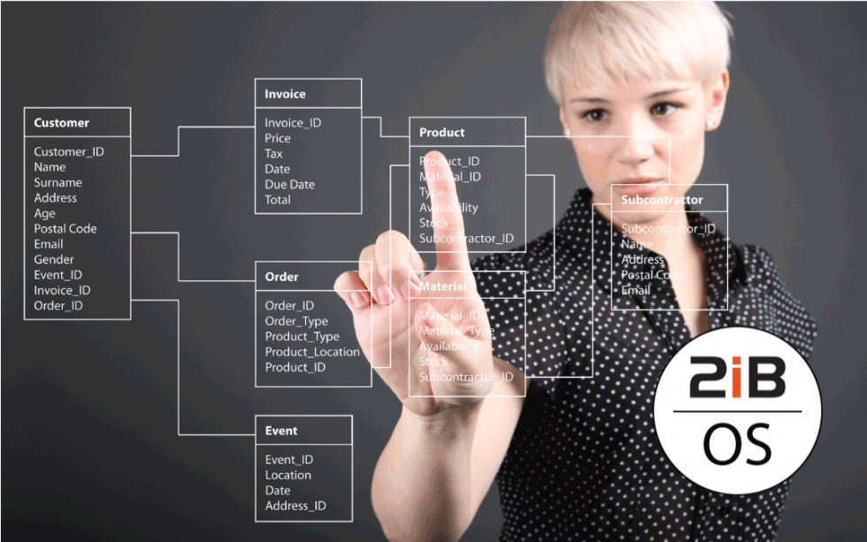 Growing Beyond Spreadsheets with 2iB OS