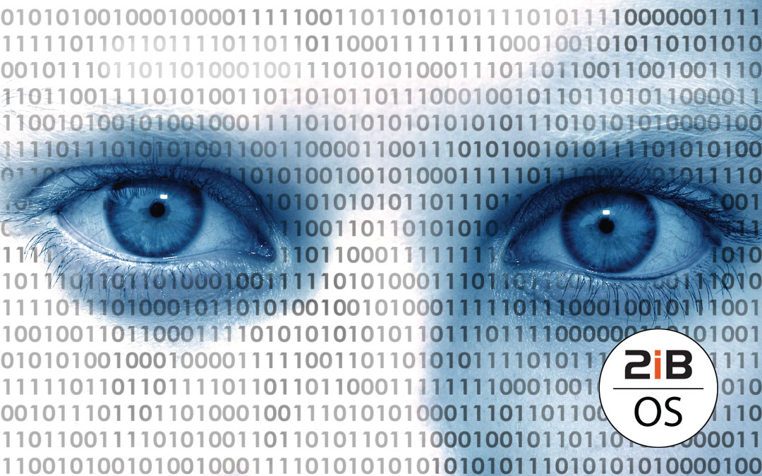 This image depicts a persons eyes looking at your data.