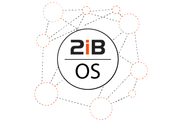 2iB OS Ecosystem Logo 